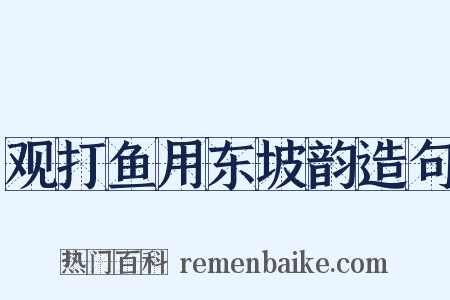 观打鱼用东坡韵造句是什么意思的图片
